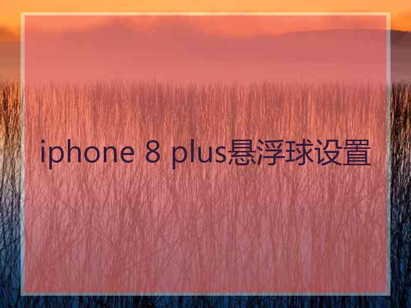 iphone 8 plus悬浮球设置