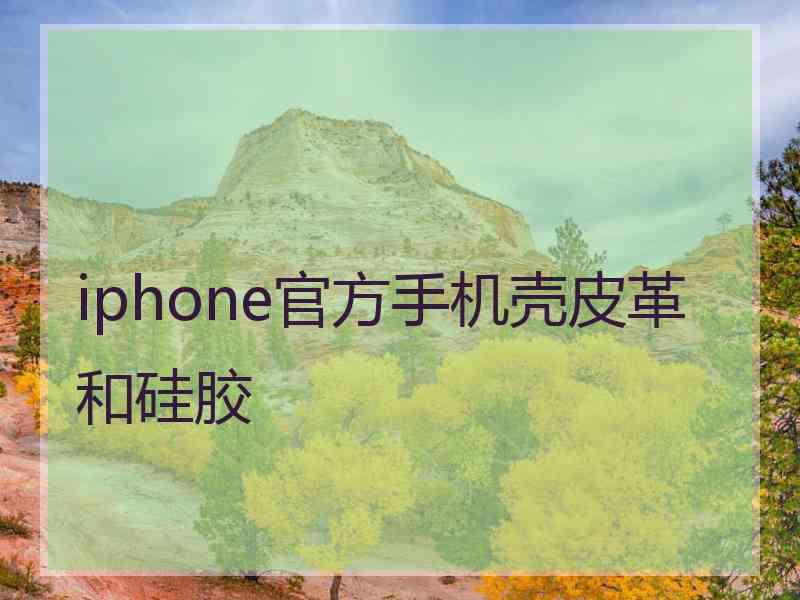 iphone官方手机壳皮革和硅胶