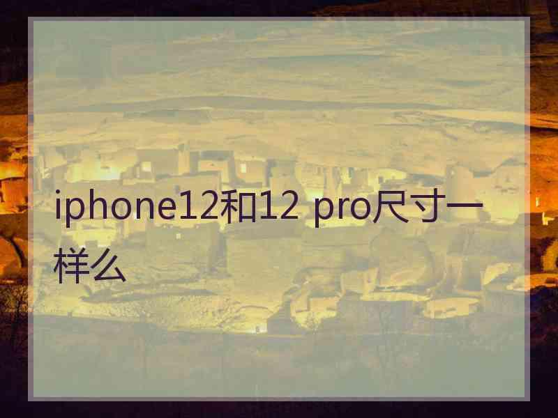 iphone12和12 pro尺寸一样么