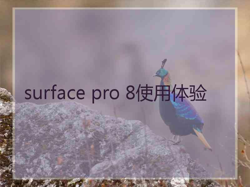 surface pro 8使用体验