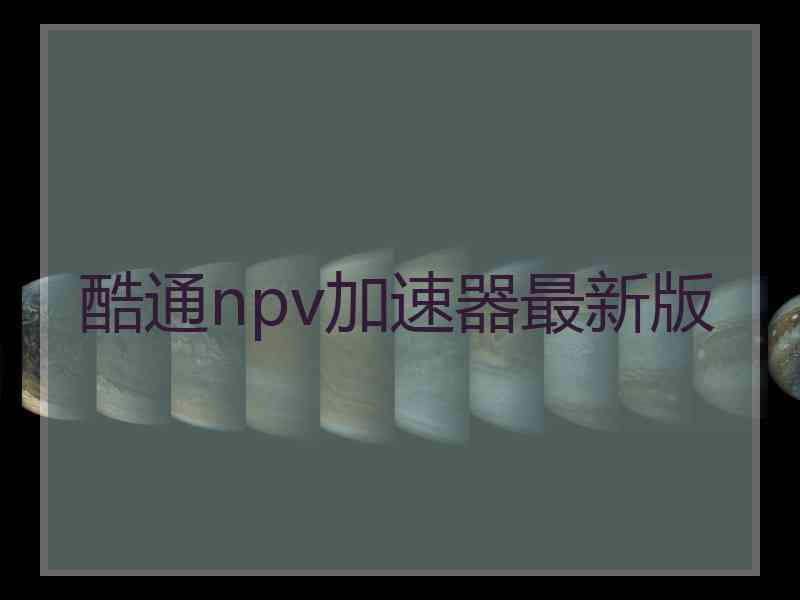 酷通npv加速器最新版