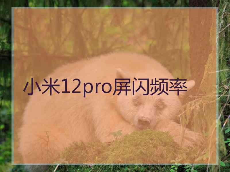 小米12pro屏闪频率