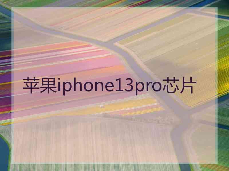 苹果iphone13pro芯片