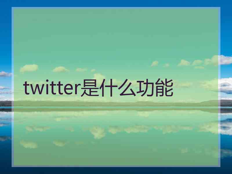 twitter是什么功能