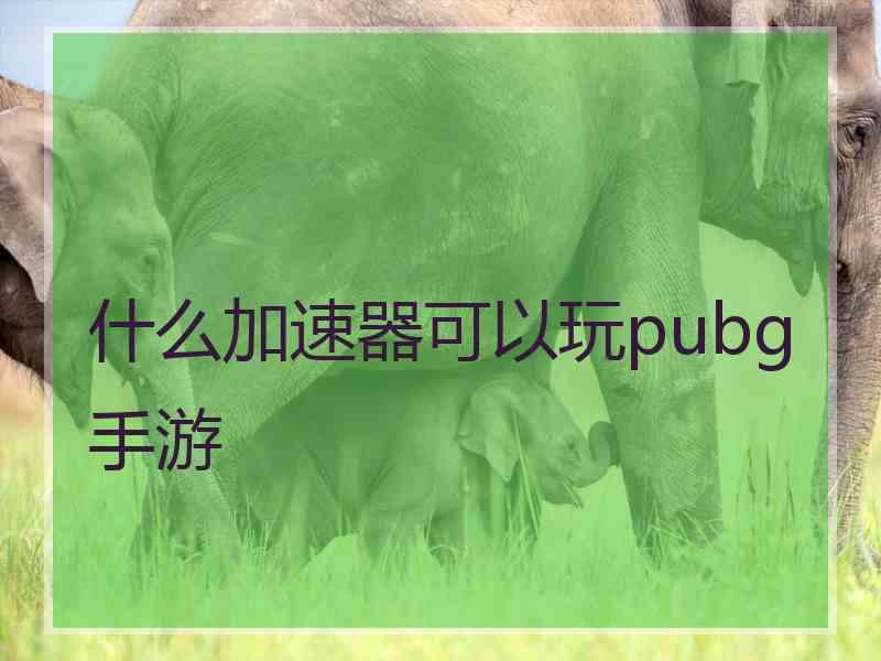 什么加速器可以玩pubg手游