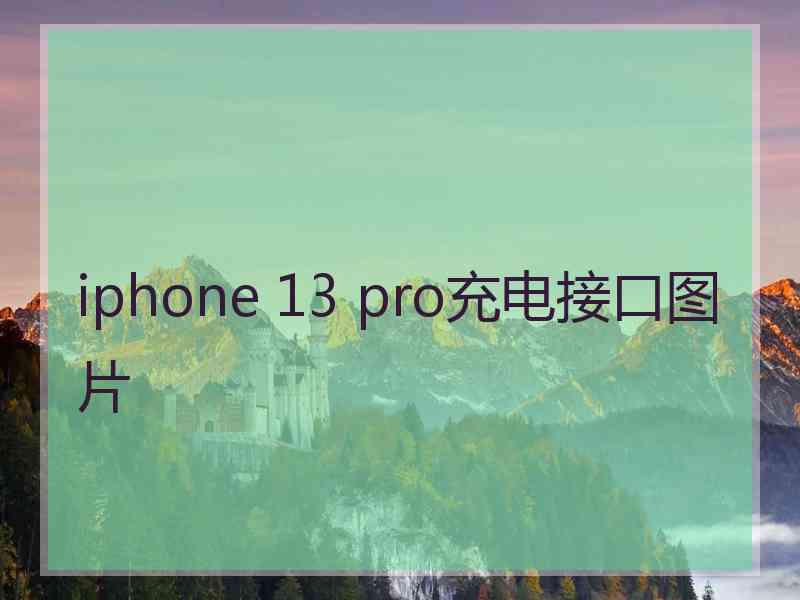 iphone 13 pro充电接口图片