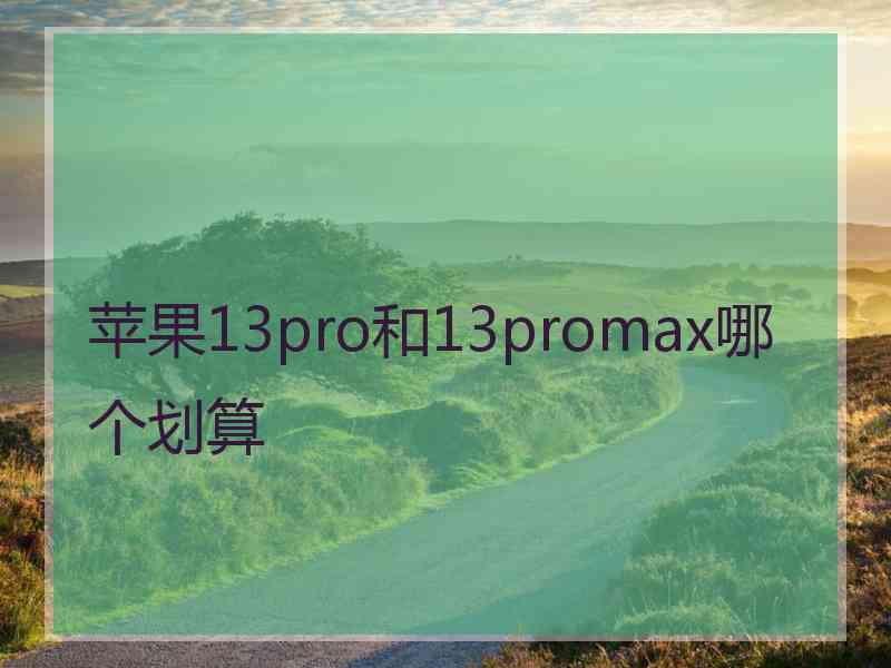 苹果13pro和13promax哪个划算