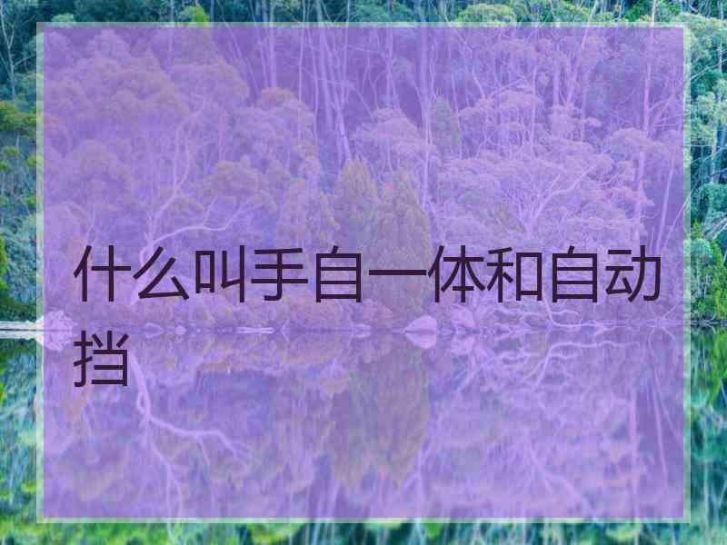 什么叫手自一体和自动挡