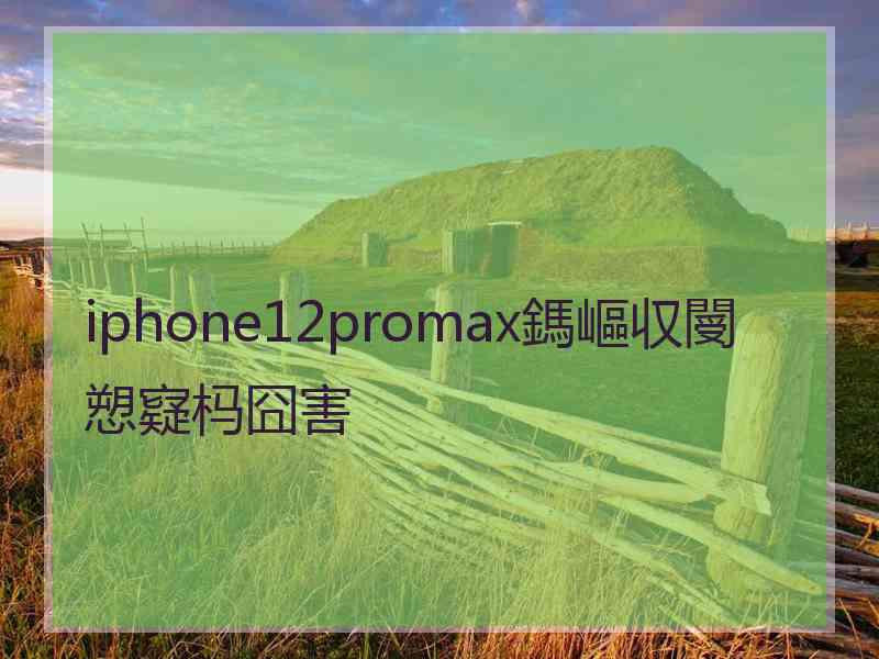 iphone12promax鎷嶇収閿愬寲杩囧害