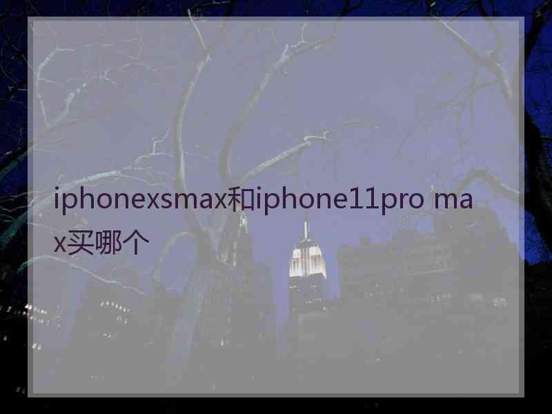 iphonexsmax和iphone11pro max买哪个