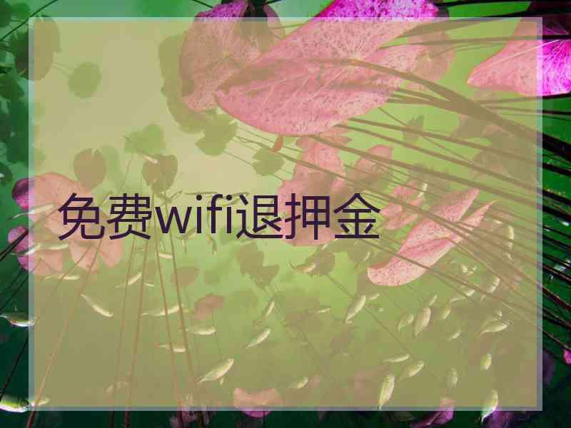 免费wifi退押金