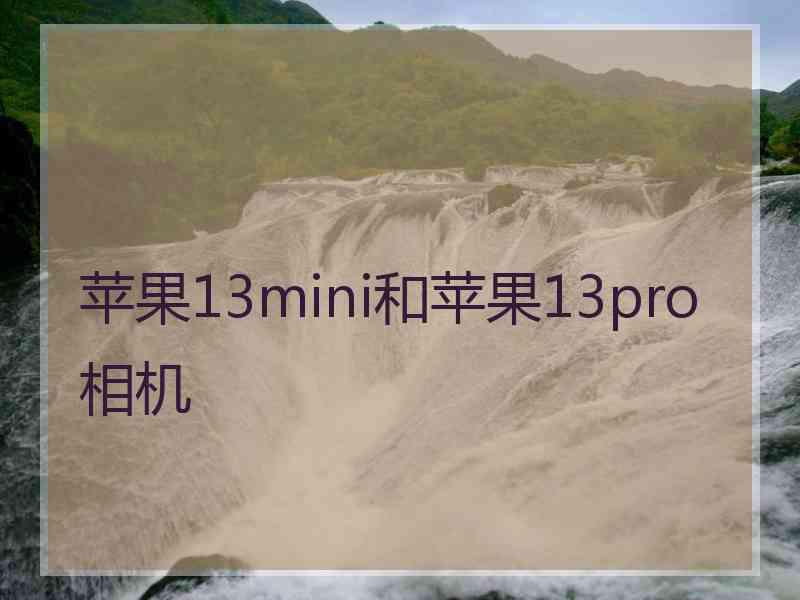 苹果13mini和苹果13pro相机