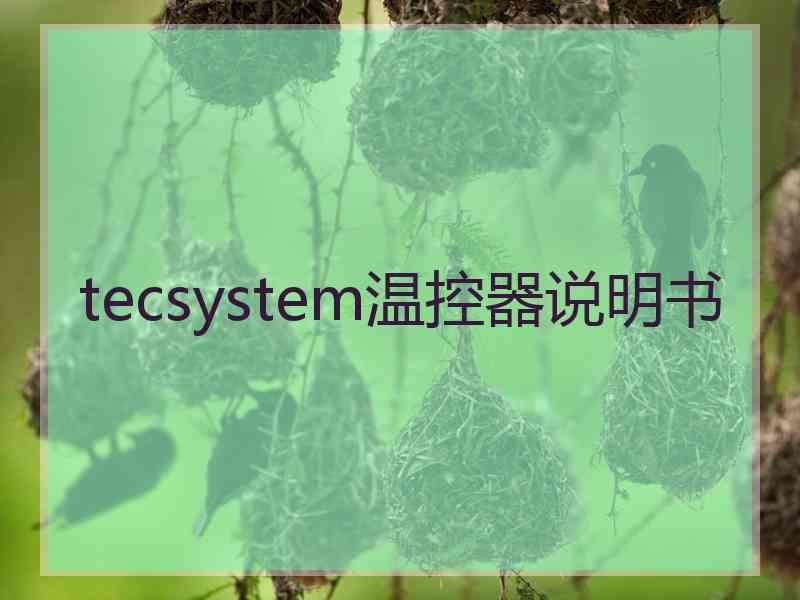 tecsystem温控器说明书