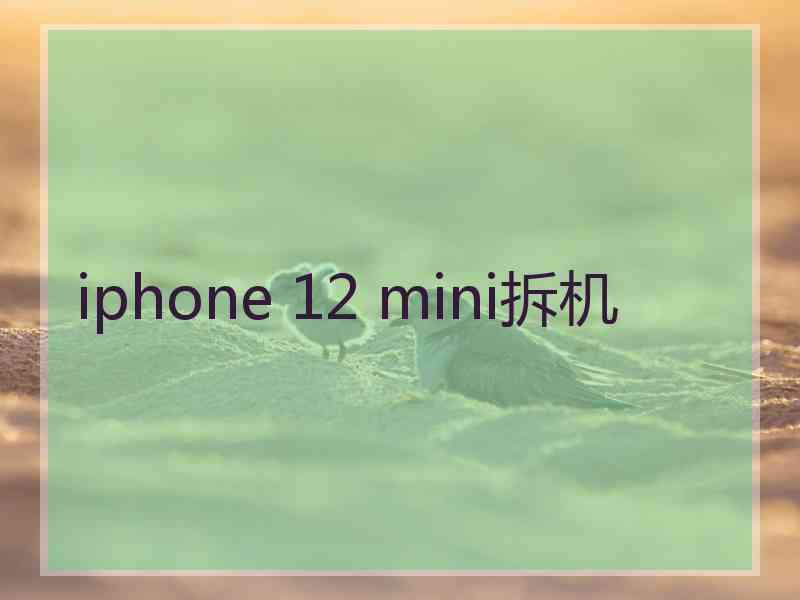 iphone 12 mini拆机