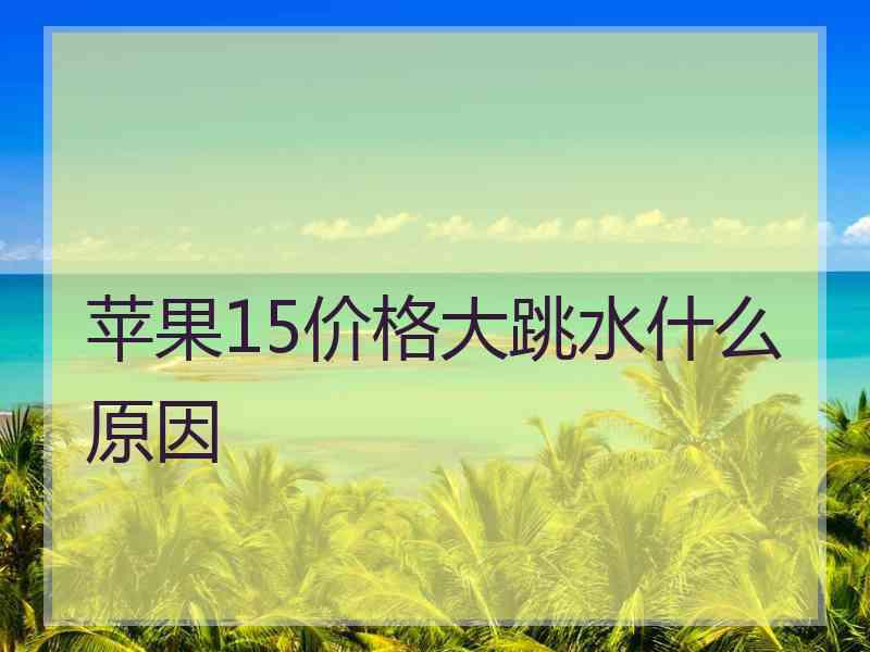 苹果15价格大跳水什么原因