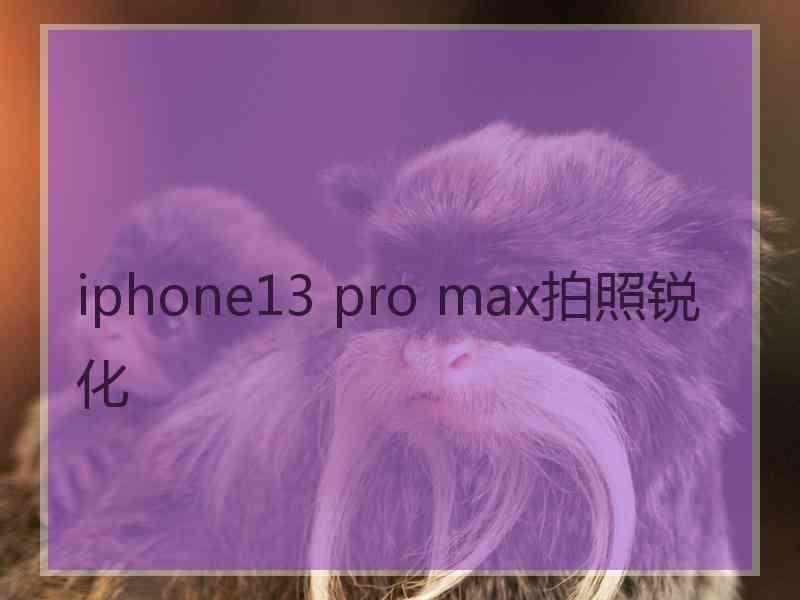 iphone13 pro max拍照锐化