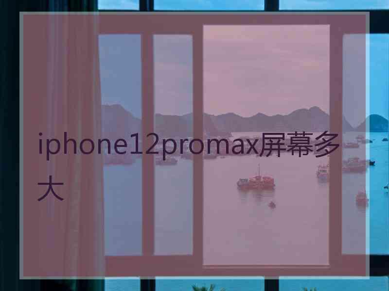 iphone12promax屏幕多大