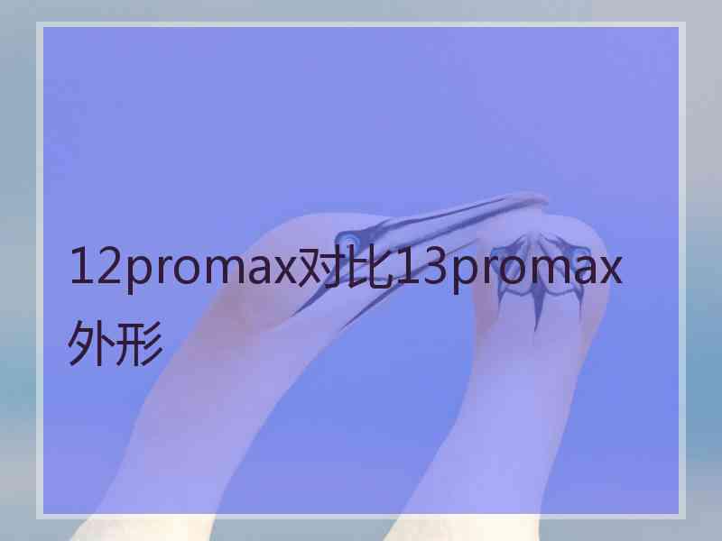 12promax对比13promax外形