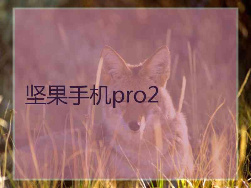 坚果手机pro2