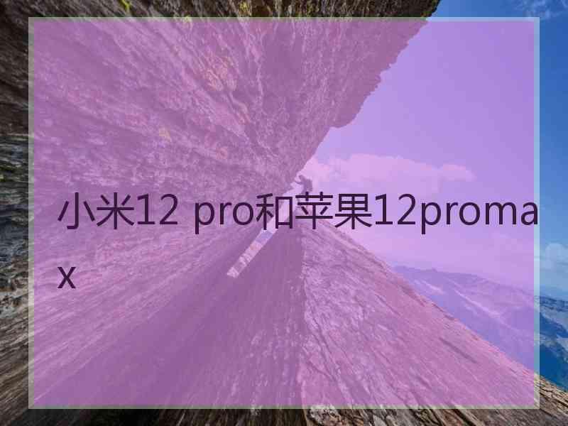 小米12 pro和苹果12promax