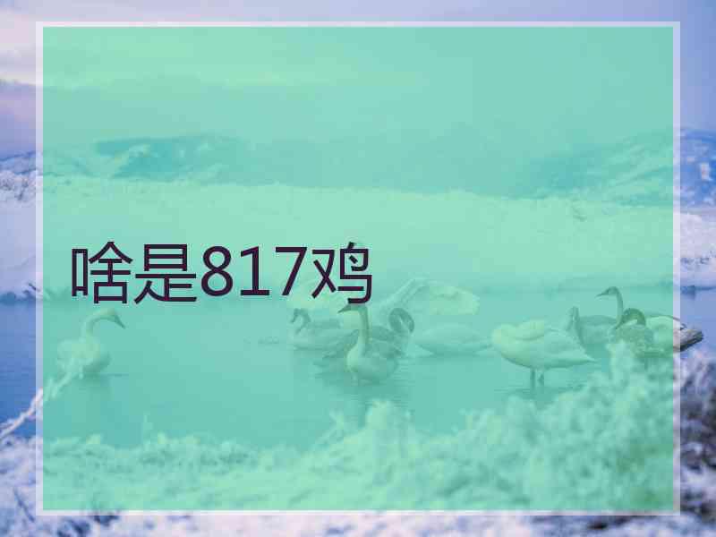 啥是817鸡