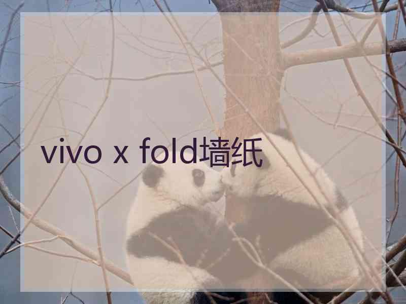 vivo x fold墙纸