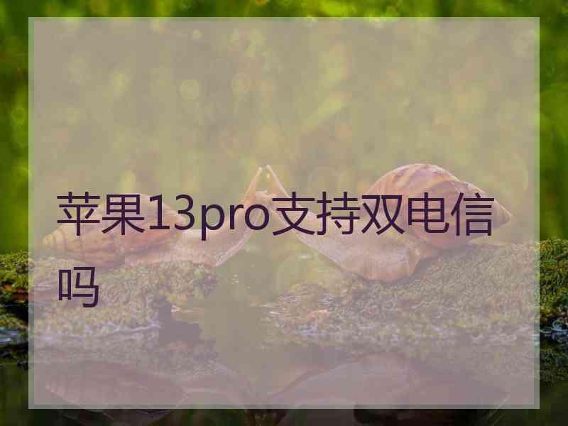 苹果13pro支持双电信吗