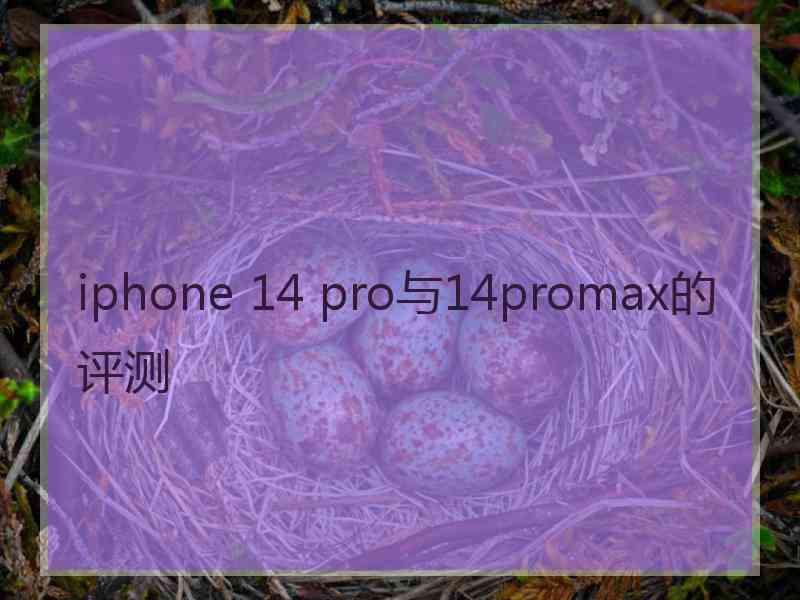 iphone 14 pro与14promax的评测