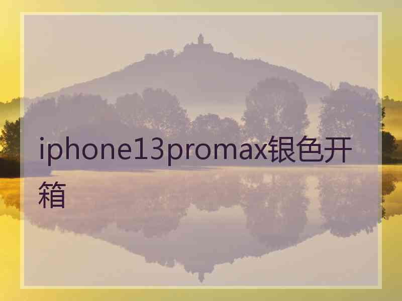 iphone13promax银色开箱