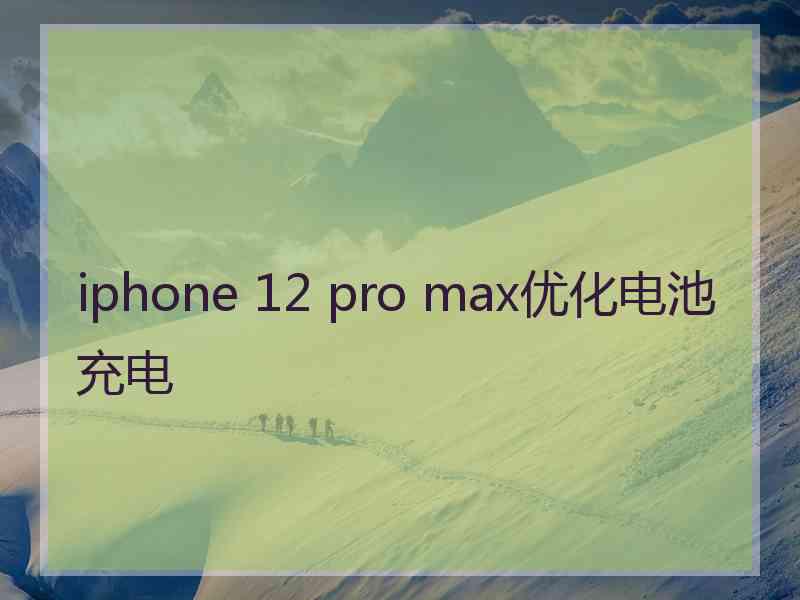 iphone 12 pro max优化电池充电