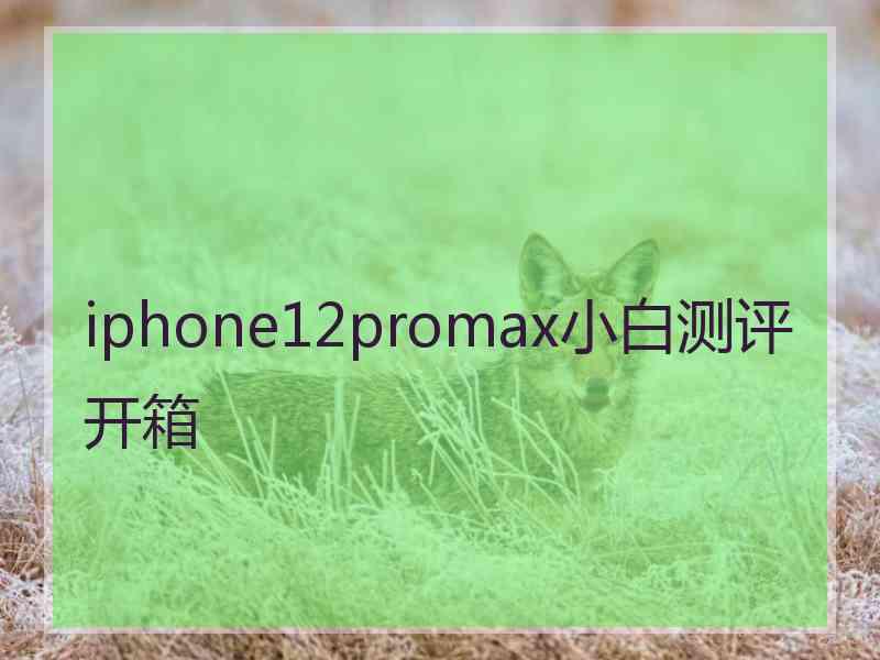 iphone12promax小白测评开箱