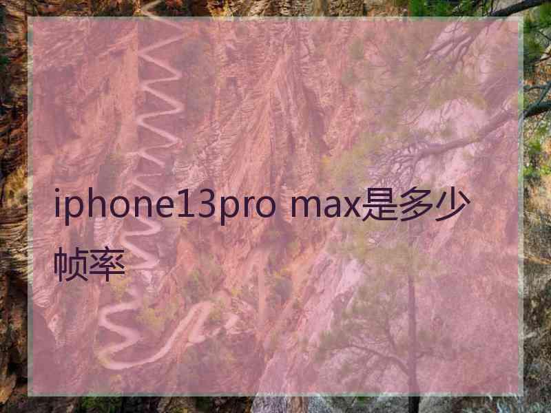 iphone13pro max是多少帧率