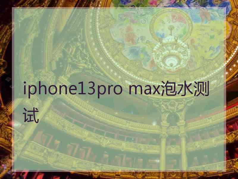 iphone13pro max泡水测试