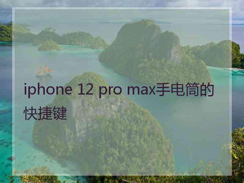 iphone 12 pro max手电筒的快捷键