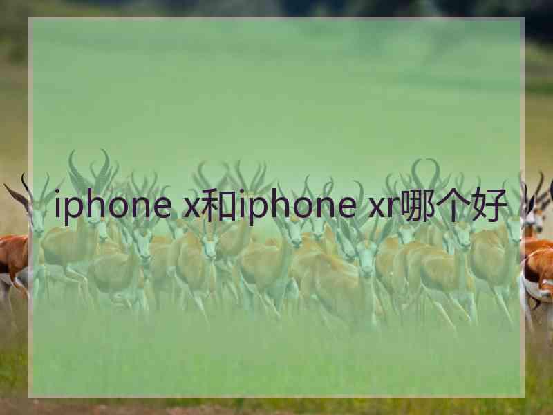 iphone x和iphone xr哪个好