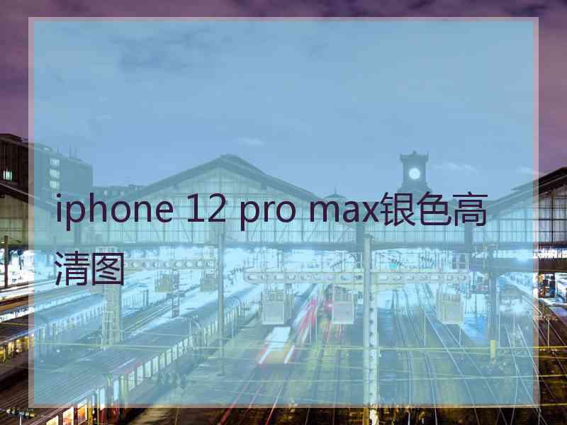 iphone 12 pro max银色高清图