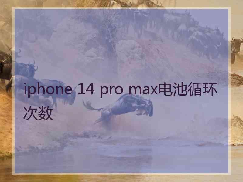 iphone 14 pro max电池循环次数