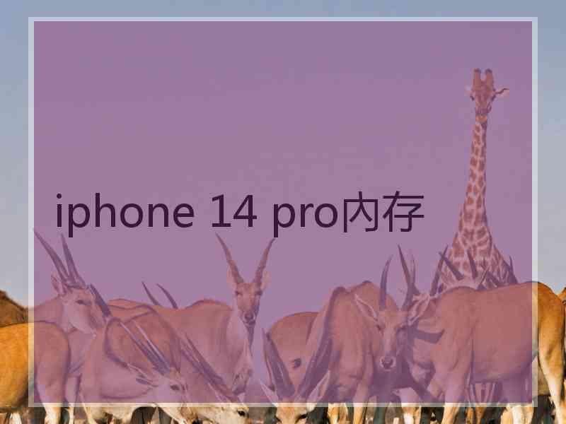 iphone 14 pro內存