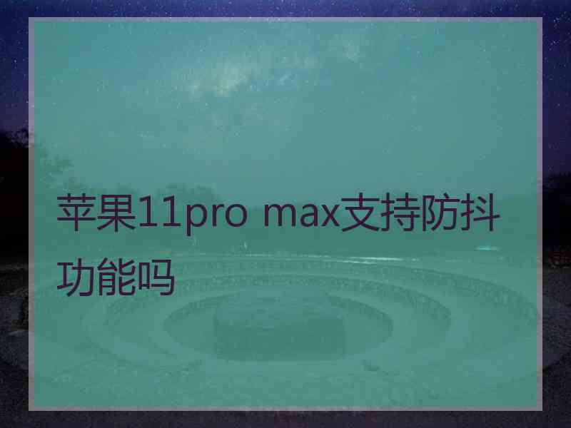 苹果11pro max支持防抖功能吗