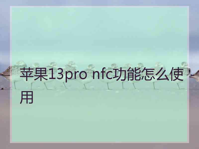 苹果13pro nfc功能怎么使用