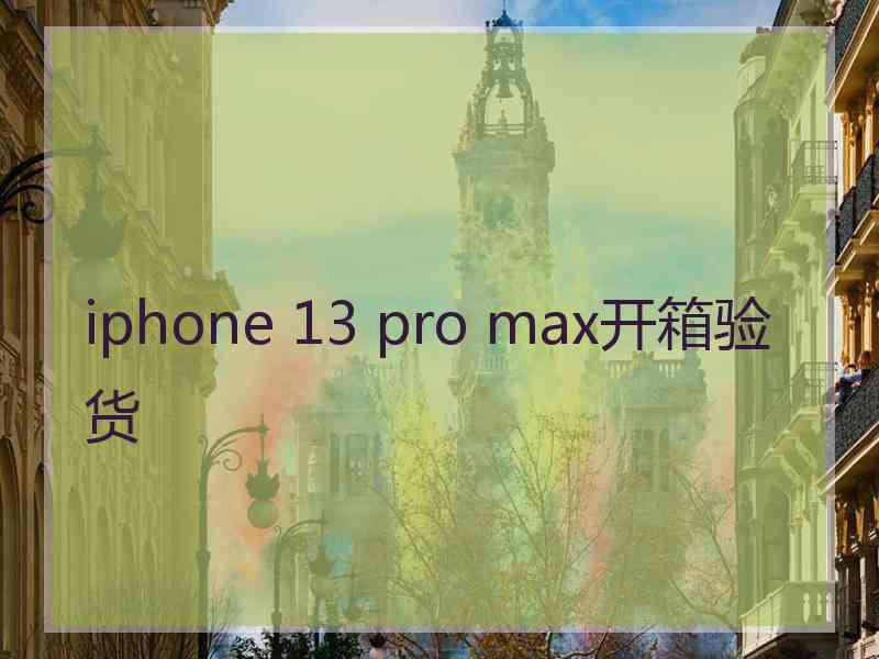 iphone 13 pro max开箱验货