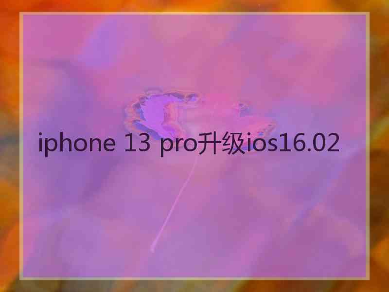 iphone 13 pro升级ios16.02