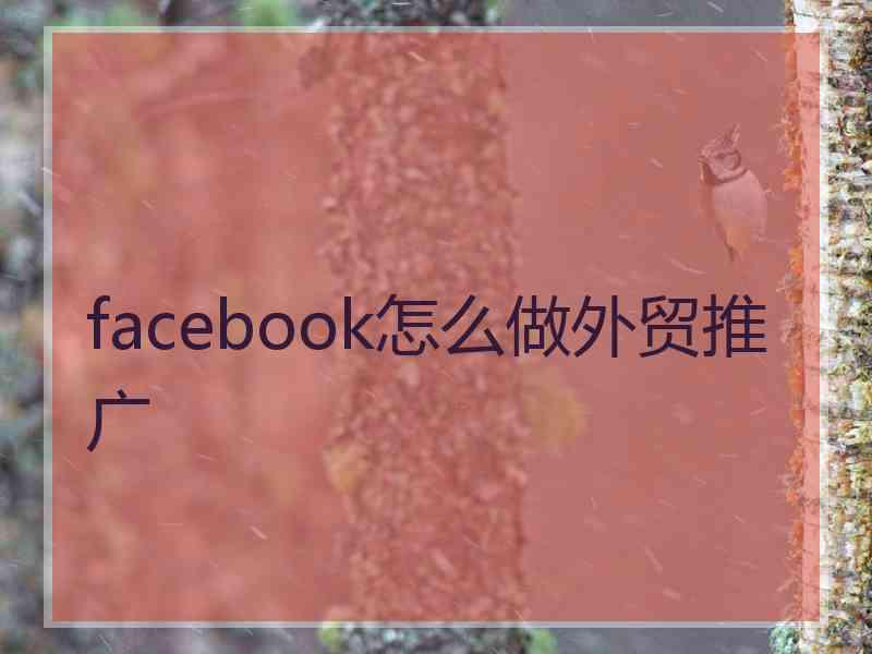 facebook怎么做外贸推广