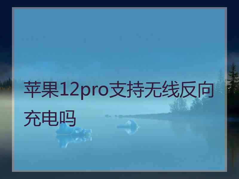 苹果12pro支持无线反向充电吗