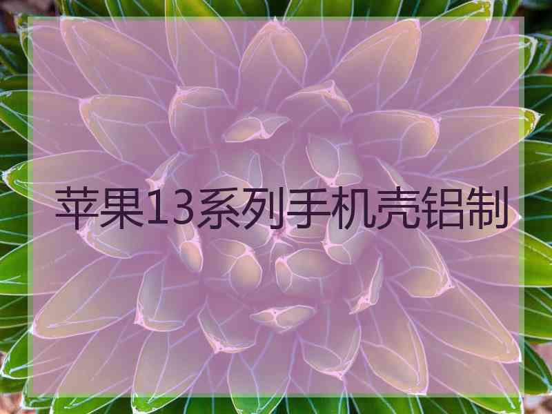 苹果13系列手机壳铝制