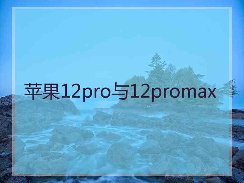 苹果12pro与12promax