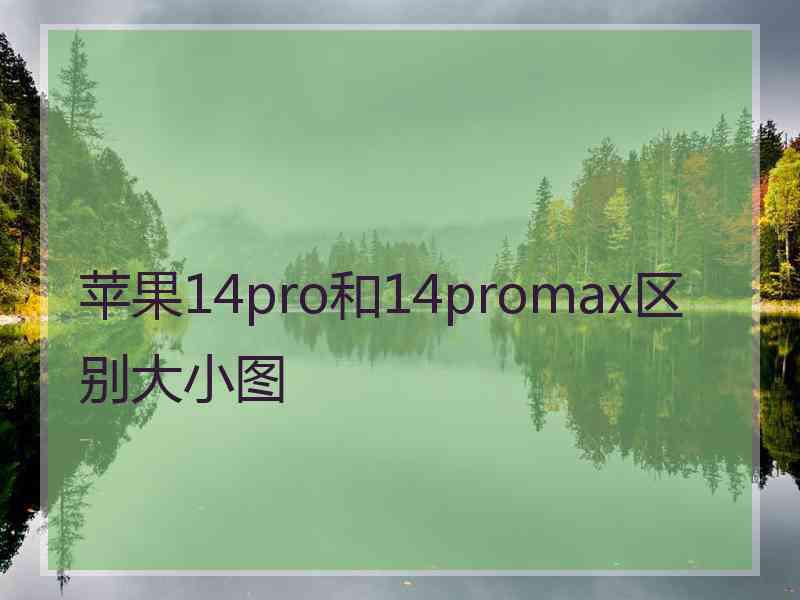 苹果14pro和14promax区别大小图