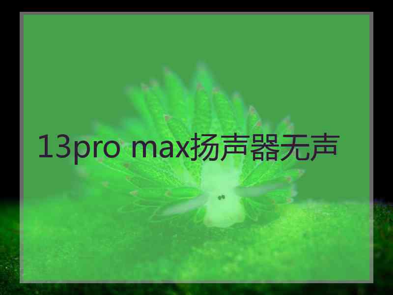 13pro max扬声器无声