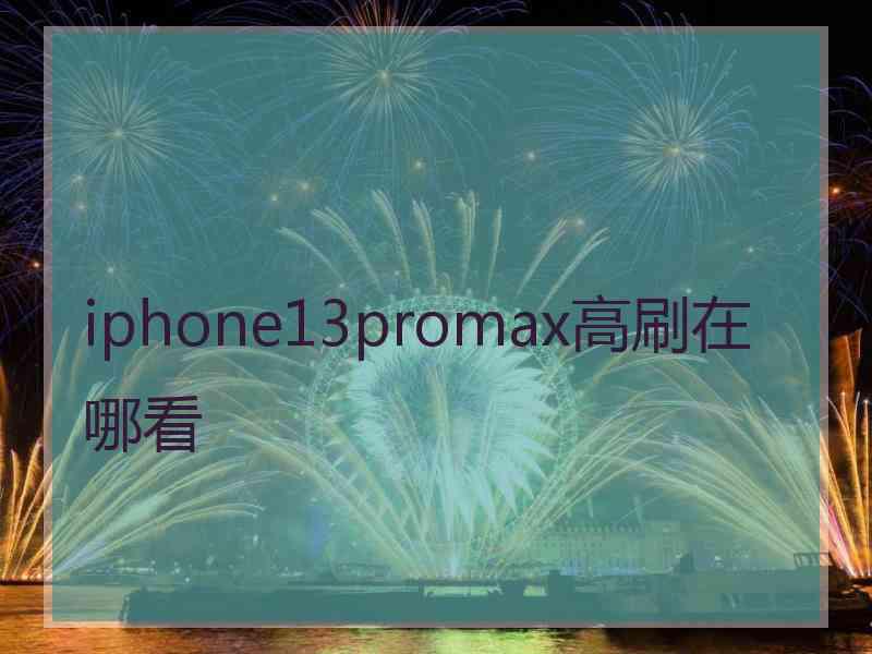 iphone13promax高刷在哪看