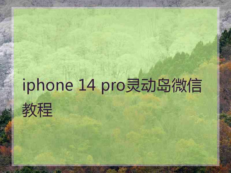 iphone 14 pro灵动岛微信教程